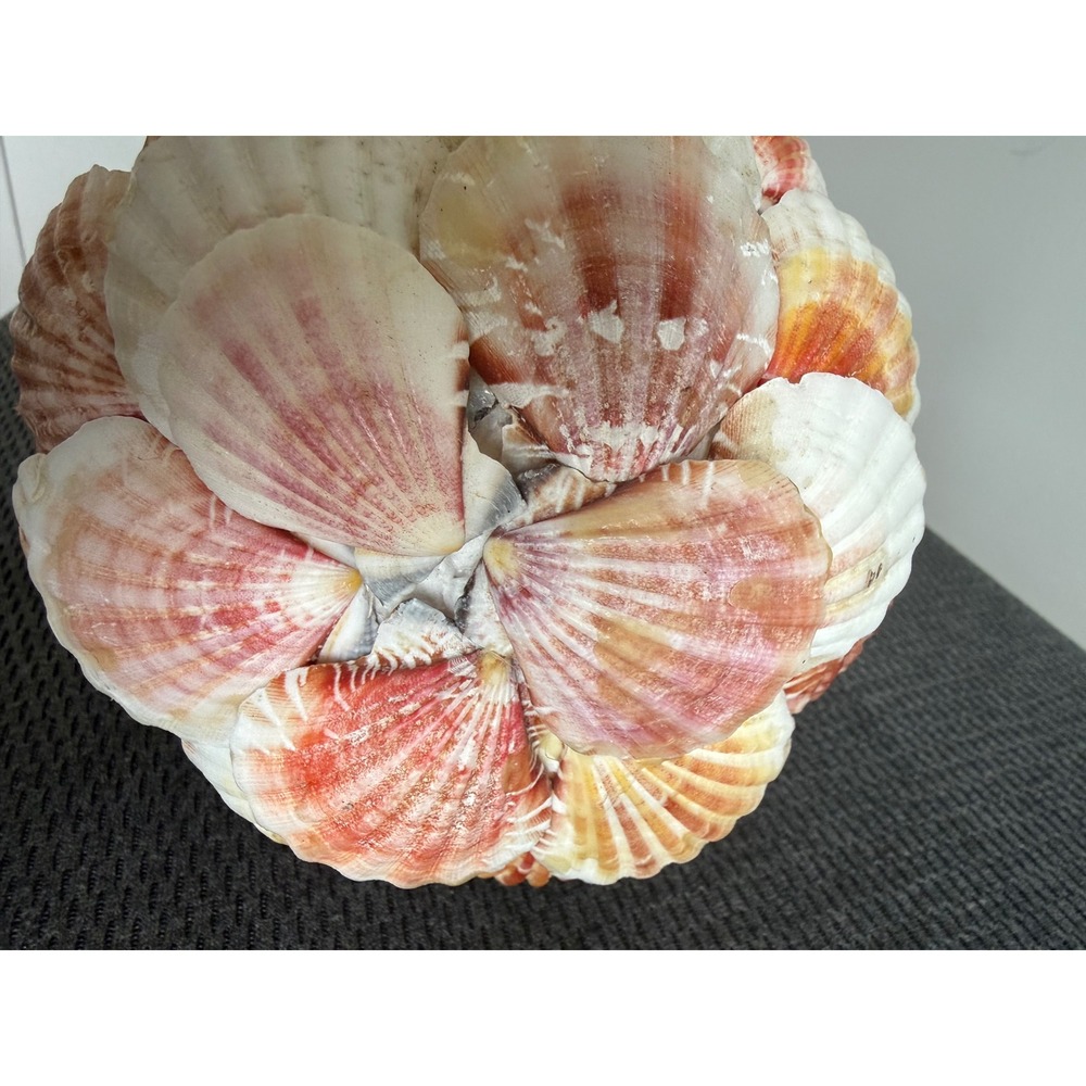 Handmade Natural Scallop Seashell Decorative Orb Sphere 6 in Coastal Beach Home - Picture 8 of 11